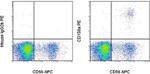 CD158a/h/g Monoclonal Antibody (HP-MA4), PE, eBioscience™