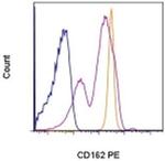 CD162 (PSGL-1) Monoclonal Antibody (FLEG), PE, eBioscience™