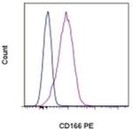 CD166 (ALCAM) Monoclonal Antibody (3A6), PE, eBioscience™