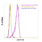 CD171 Monoclonal Antibody (eBio5G3 (5G3)), PE, eBioscience™