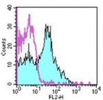 CD180 (RP105) Monoclonal Antibody (RP/14), PE, eBioscience™