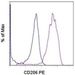 CD206 (MMR) Monoclonal Antibody (19.2), PE, eBioscience™