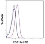 CD213a1 (IL-13Ra1) Monoclonal Antibody (13MOKA), PE, eBioscience™