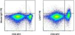 CD258 (LIGHT) Monoclonal Antibody (7-3 (7)), PE, eBioscience™