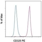 CD325 (N-Cadherin) Monoclonal Antibody (8C11), PE, eBioscience™
