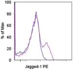 CD339 (Jagged 1) Monoclonal Antibody (HMJ1-29), PE, eBioscience™