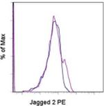 Jagged 2 Monoclonal Antibody (HMJ2-1), PE, eBioscience™