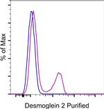 Mouse IgG (H+L) Secondary Antibody in Flow Cytometry (Flow)