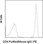 Rat anti-Mouse IgG1 Secondary Antibody, PE, eBioscience™