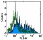 Armenian Hamster IgG (H+L) Secondary Antibody in Flow Cytometry (Flow)