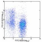 Armenian Hamster IgG (H+L) Secondary Antibody in Flow Cytometry (Flow)