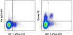 EOMES Monoclonal Antibody (Dan11mag), PE, eBioscience™