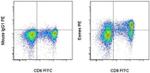 EOMES Monoclonal Antibody (WD1928), PE, eBioscience™