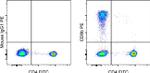 CD8b Monoclonal Antibody (SIDI8BEE), PE, eBioscience™