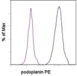 Podoplanin Monoclonal Antibody (eBio8.1.1 (8.1.1)), PE, eBioscience™