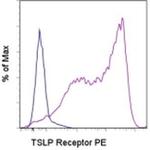 TSLP Receptor Monoclonal Antibody (eBio1A6 (1A6)), PE, eBioscience™
