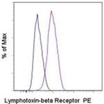Lymphotoxin beta Receptor Monoclonal Antibody (eBio3C8 (3C8)), PE, eBioscience™