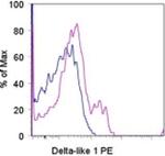 DLL1 (delta-like 1) Monoclonal Antibody (HMD1-5), PE, eBioscience™
