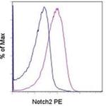 NOTCH2 Monoclonal Antibody (16F11), PE, eBioscience™