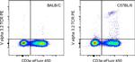 TCR V alpha 3.2 Antibody in Flow Cytometry (Flow)