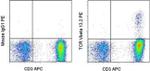TCR V beta 13.2 Antibody in Flow Cytometry (Flow)
