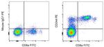 CD244 Monoclonal Antibody (eBioC1.7 (C1.7)), PE, eBioscience™