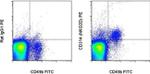 CD314 (NKG2D) Monoclonal Antibody (CX5), PE, eBioscience™