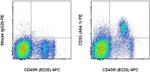 CD93 (AA4.1) Monoclonal Antibody (AA4.1), PE, eBioscience™