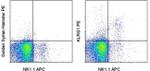 KLRG1 Monoclonal Antibody (2F1), PE, eBioscience™