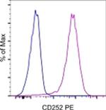 CD252 (OX40 Ligand) Monoclonal Antibody (RM134L), PE, eBioscience™