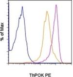 ThPOK Monoclonal Antibody (2POK), PE, eBioscience™