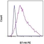 B7-H4 Monoclonal Antibody (H74), PE, eBioscience™