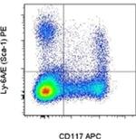 Ly-6A/E (Sca-1) Monoclonal Antibody (D7), PE, eBioscience™