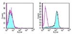 CD273 (B7-DC) Monoclonal Antibody (TY25), PE, eBioscience™