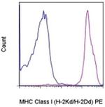 MHC Class I (H-2Kd/H-2Dd) Monoclonal Antibody (34-1-2S), PE, eBioscience™