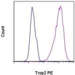 Trop2 (EGP-1) Monoclonal Antibody (MR54), PE, eBioscience™