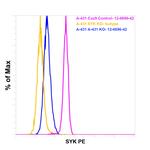 Syk Monoclonal Antibody (4D10.1), PE, eBioscience™