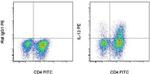 IL-13 Monoclonal Antibody (eBio13A), PE, eBioscience™