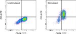 CCL4 (MIP-1 beta) Monoclonal Antibody (FL34Z3L), PE, eBioscience™
