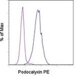 Podocalyxin Monoclonal Antibody (B34D1.3), PE, eBioscience™