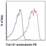 TRA-1-81 (Podocalyxin) Monoclonal Antibody (TRA-1-81), PE, eBioscience™