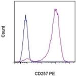 CD257 (BAFF, BLyS) Monoclonal Antibody (1D6), PE, eBioscience™