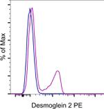 Desmoglein 2 Monoclonal Antibody (CSTEM28), PE, eBioscience™