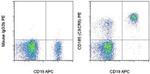 CD185 (CXCR5) Monoclonal Antibody (MU5UBEE), PE, eBioscience™