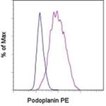 Podoplanin Monoclonal Antibody (NZ-1.3), PE, eBioscience™