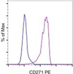 CD271 (NGF Receptor) Monoclonal Antibody (ME20.4), PE, eBioscience™