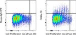 CD49a (Integrin alpha 1) Monoclonal Antibody (TS2/7), PE, eBioscience™
