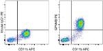 GPNMB Monoclonal Antibody (HOST5DS), PE, eBioscience™