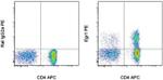 EGR1 Monoclonal Antibody (HEGR1DS), PE, eBioscience™