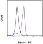 CD369 (Clec7a, Dectin-1) Monoclonal Antibody (15E2), PE, eBioscience™